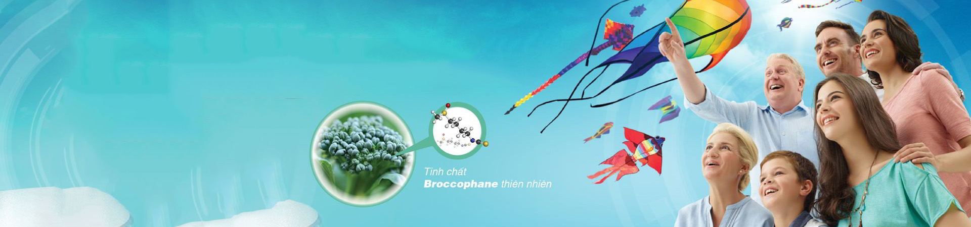 bg-banner-sp